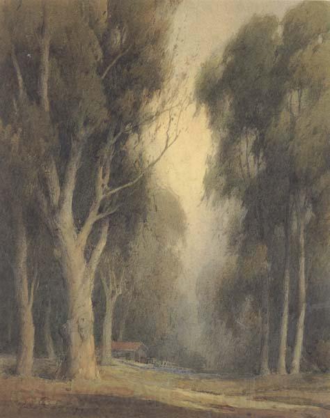 unknow artist Eucalyptus Trees,Burlingame Spain oil painting art